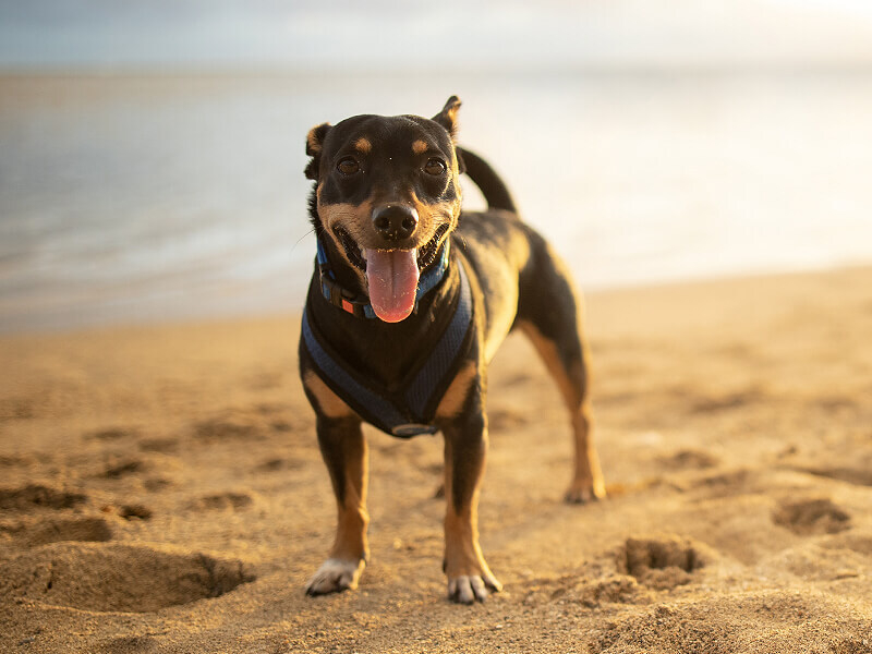 Walking beach